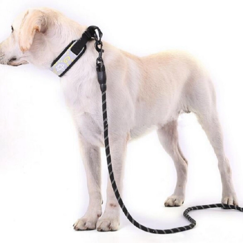 Strong Pet Leash with Comfortable Handle and High Reflective